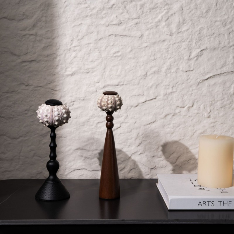 창의적인 소라 조각품, 수공예 바다에서 영감을 받은 예 - Interior Design Organic Modern 리뷰 및 가격